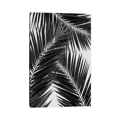 Palm Leaf III: 60x40