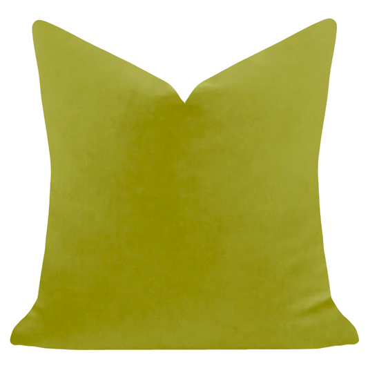 Green 22x22 Solid Velvet Pillow: 22" x 22" Throw Pillow