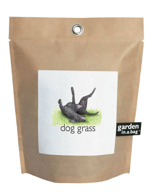 Garden in a Bag - Dog Grass