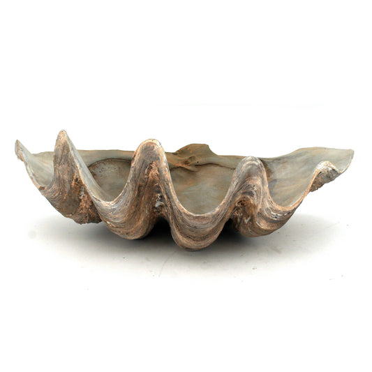 Fossilized Clam Bowl