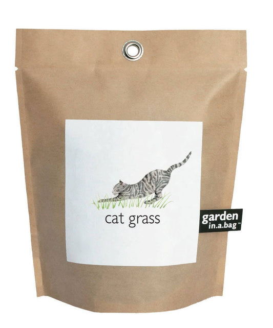 Garden in a Bag - Cat Grass