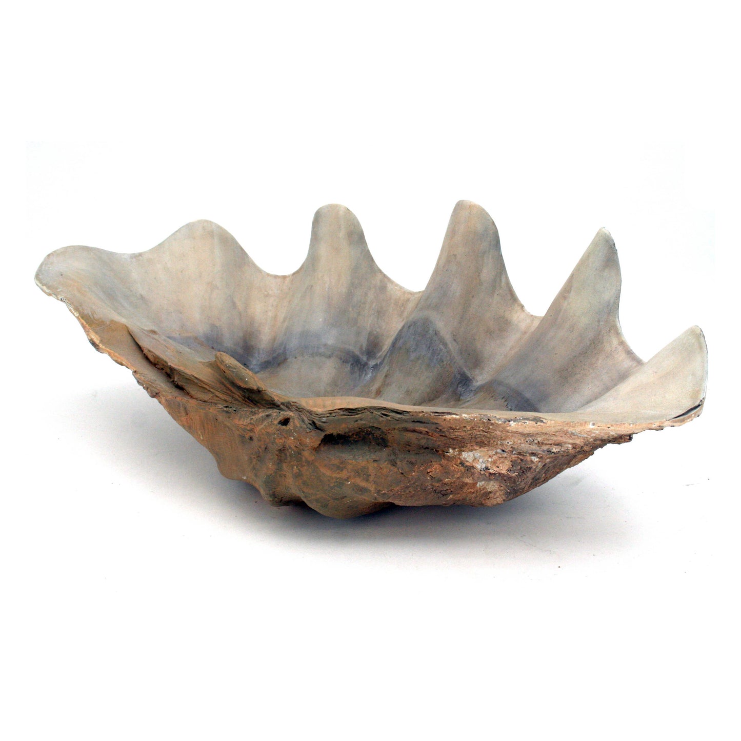 Fossilized Clam Bowl