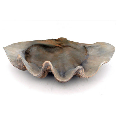 Fossilized Clam Bowl