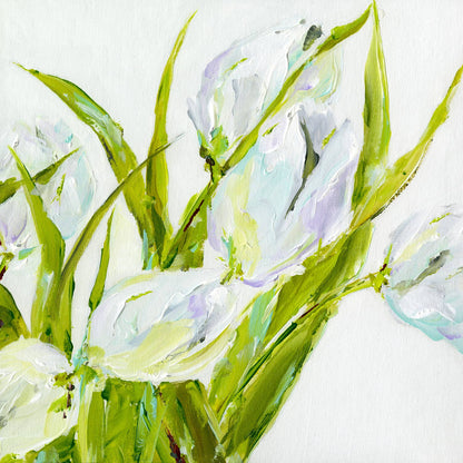 White Tulips 1 - 24" H x 24" W