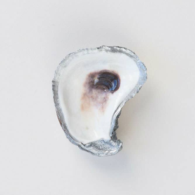 XL Oyster Jewelry Dish